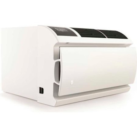 FRIEDRICH Friedrich WallMaster® Wall Air Conditioner, 12000 BTU Cool, 115V WCT12A10A